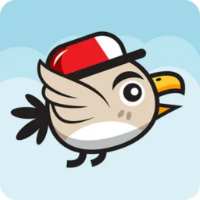 Raging Bird Rush